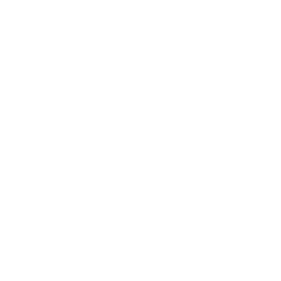 Teachers